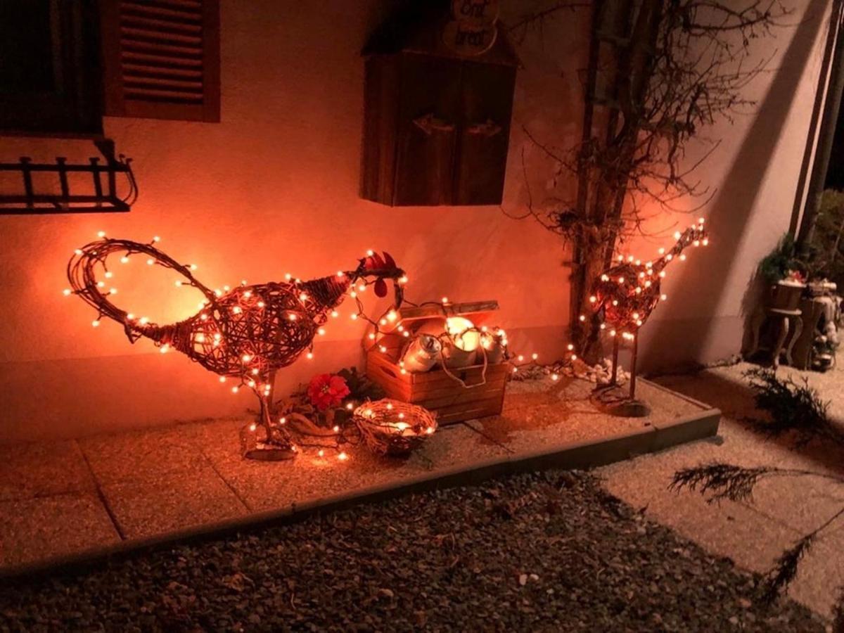 Haus Sunshine Daire Hermagor-Pressegger See Dış mekan fotoğraf
